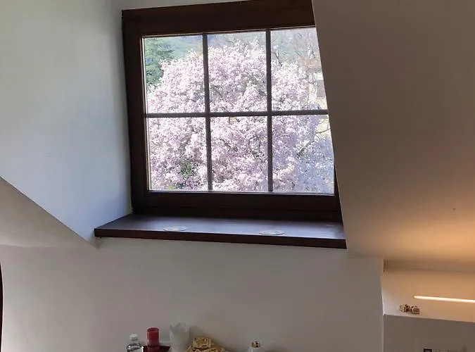 게스트하우스 Anita